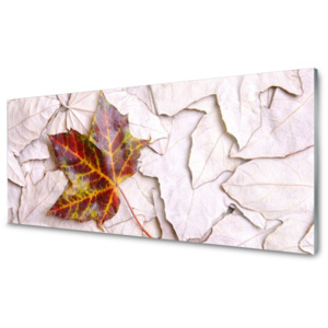 Akrylové obraz Skleněný Listy Rostlina
