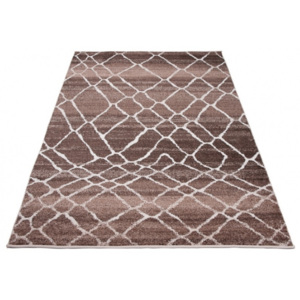 Luxusní kusový koberec Raisa RA0370 - 80x150 cm
