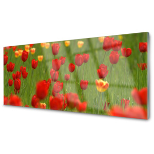 Kuchyňský skleněný panel Skleněný Tulipány Rostlina