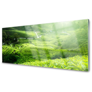 Kuchyňský skleněný panel Skleněný Louka Příroda