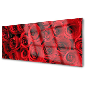 Kuchyňský skleněný panel Skleněný Růže Květiny