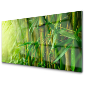 Kuchyňský skleněný panel Bambus Stonky Rostlina
