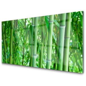 Kuchyňský skleněný panel Bambus Stonek Rostlina