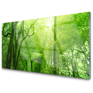 Kuchyňský skleněný panel Skleněný Stromy Příroda