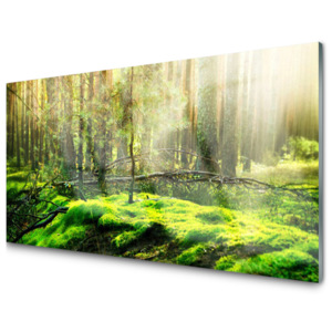 Kuchyňský skleněný panel Skleněný Mech Les Příroda