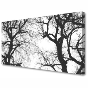Obraz Canvas Stromy Příroda Černobílý