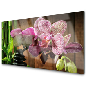 Kuchyňský skleněný panel Kvetiny Bambus Rostlina