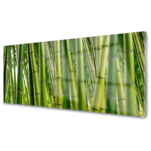 Skleněné obklady do kuchyně Bambusový Les Bambusové Výhonky