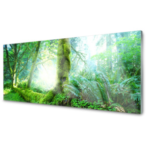 Kuchyňský skleněný panel Skleněný Les Příroda