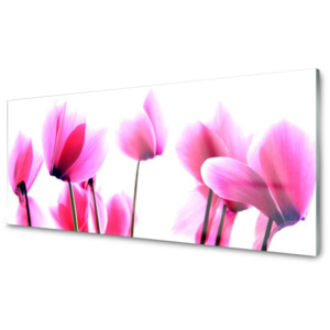 Kuchyňský skleněný panel Skleněný Květíny Rostlina