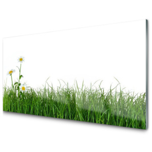 Kuchyňský skleněný panel Plevel Příroda Rostlina
