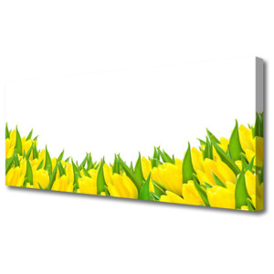 Obraz Canvas Květiny Příroda Tulipány