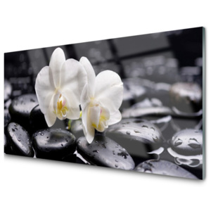 Skleněné obklady do kuchyně Kameny Zen Bílá Orchidej