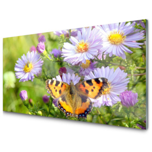 Kuchyňský skleněný panel Květiny Motýl Příroda