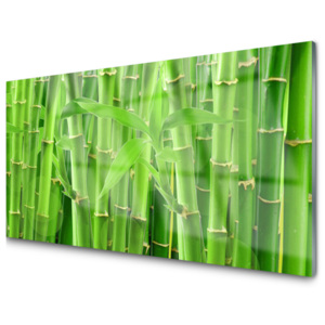 Kuchyňský skleněný panel Bambus Stonek Květ Rostlina