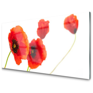 Kuchyňský skleněný panel Skleněný Květiny Rostlina