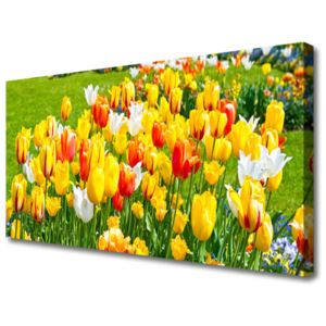 Obraz Canvas Tulipány Květiny Příroda