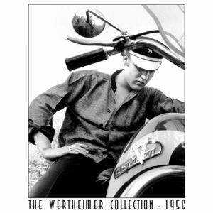Plechová cedule: Wertheimer Elvis on Bike