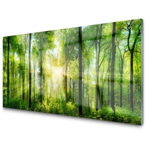 Kuchyňský skleněný panel Skleněný Les Příroda