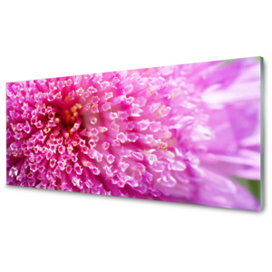 Kuchyňský skleněný panel Skleněný Květ