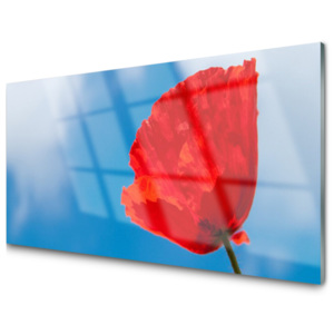 Kuchyňský skleněný panel Skleněný Tulipán