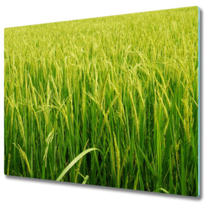 Skleněná krájecí deska Pole rýže