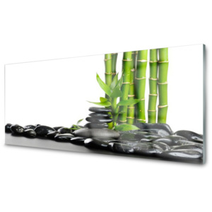 Kuchyňský skleněný panel Bambus Kameny Umění