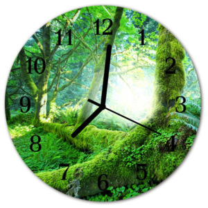 Skleněné hodiny kulaté Lesní mech