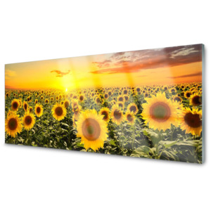 Kuchyňský skleněný panel Skleněný Slunečnice