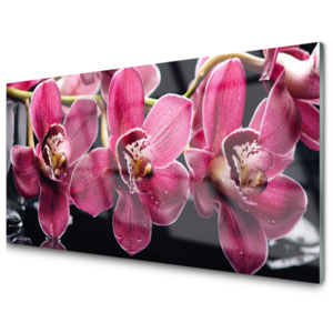 Skleněné obklady do kuchyně Květiny Orchideje Výhonky Příroda