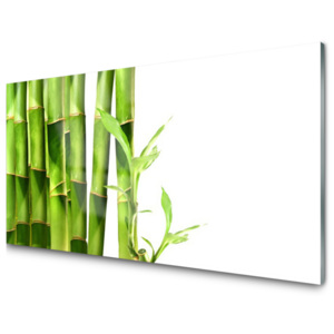 Kuchyňský skleněný panel Skleněný Bambus Rostlina