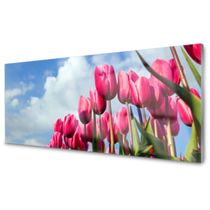 Kuchyňský skleněný panel Skleněný Tulipán