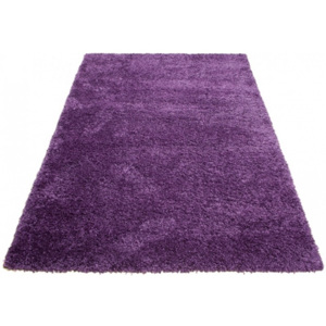 Exkluzivní kusový koberec SHAGGY SKANDY-H HM0070 - 200x300 cm