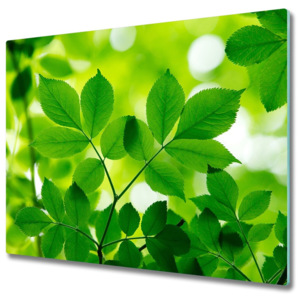 Skleněná krájecí deska Zelené listy