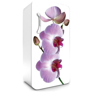 Samolepící tapety na lednici, rozměr 120 cm x 65 cm, fialová orchidej, DIMEX FR-120-024