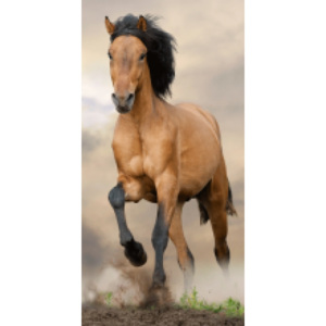 Dětská osuška Horse brown, Velikost 70x140