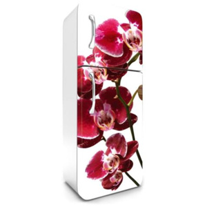 Samolepící tapety na lednici, rozměr 180 cm x 65 cm, orchidej, DIMEX FR-180-014
