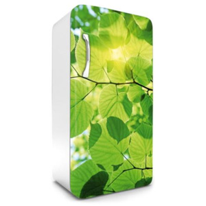 Samolepící tapety na lednici, rozměr 120 cm x 65 cm, zelené listy, DIMEX FR-120-009