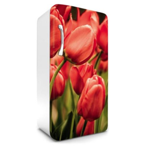 Samolepící tapety na lednici, rozměr 120 cm x 65 cm, tulipány, DIMEX FR-120-012
