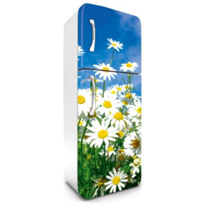 Samolepící tapety na lednici, rozměr 180 cm x 65 cm, kopretiny, DIMEX FR-180-011