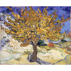 Obraz, Reprodukce - Mulberry Tree, 1889, Vincent van Gogh