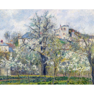 Obraz, Reprodukce - The Vegetable Garden with Trees in Blossom, Spring, Pontoise, 1877, Camille Pissarro
