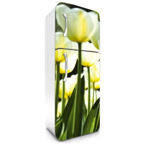 Samolepící tapety na lednici, rozměr 180 cm x 65 cm, žluté tulipány, DIMEX FR-180-026