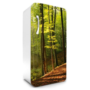 Samolepící tapety na lednici, rozměr 120 cm x 65 cm, les na podzim, DIMEX FR-120-028