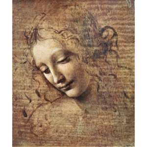 Obraz, Reprodukce - Head of a Young Woman with Tousled Hair or, Leda, Leonardo da Vinci