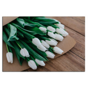 Bílé tulipány C1526AO