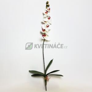 Umělá Orchidej Creme 55cm - Do interiéru