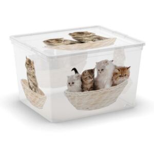 C Box Puppy & Kitten Cube 27l