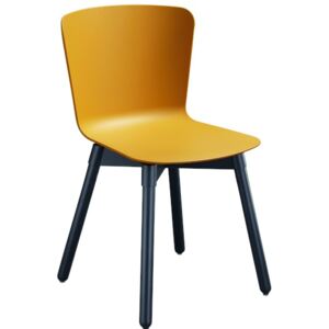Itálie Moderní židle Calla na dřevěné podnoži