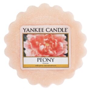 Yankee Candle - vonný vosk Peony (Pivoňka) 22g (Bohatá vůně nejžádanější jarní květiny láká svou sladkou zářivostí.)